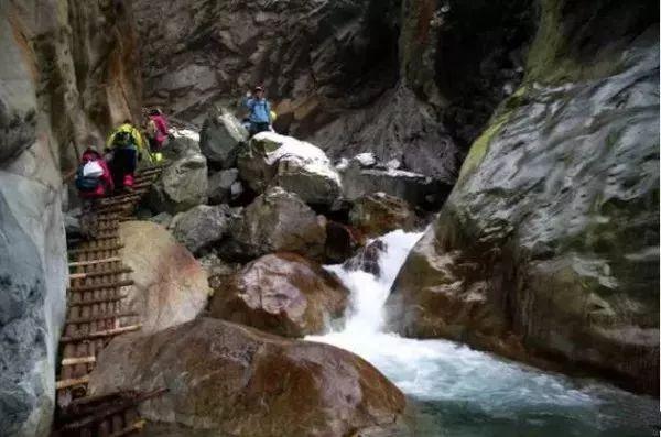 逃出猫头鹰岛